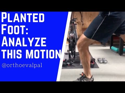 Planted foot What s Happening