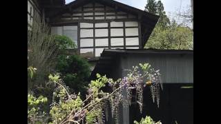 ドローン?の現場撮影