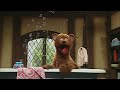 Brinque Comigo Sésamo Play With Me Sesame Baby Bear S Bath Song Brazilian Portuguese