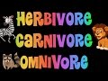 Herbivore, Carnivore, Omnivore Song