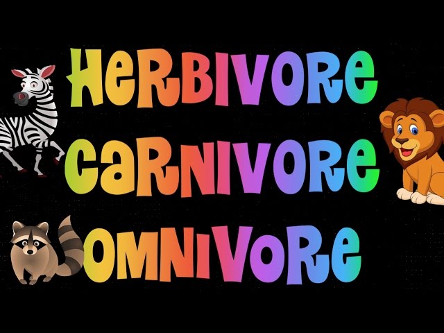 הגיית וידאו של omnivores בשנת אנגלית