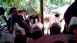 Download lagu aramaiti kawin keningau mp3