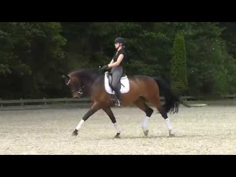 Wallach von Rock Forever