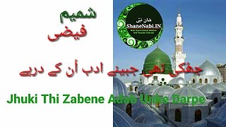 Shan E Nabi