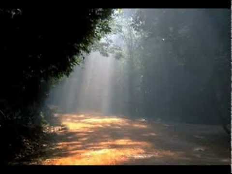 Amir Benayun - Yesh li halom