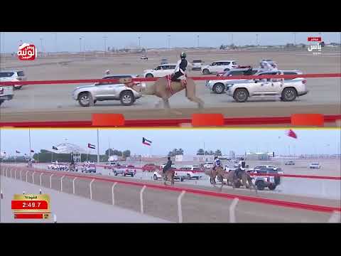  ش 14 (الطواش) لـ مطر محمد بالضبيعه الكتبي 3:09:70 ، ختامي الوثبة 2026/05/17 السباق التراثي  