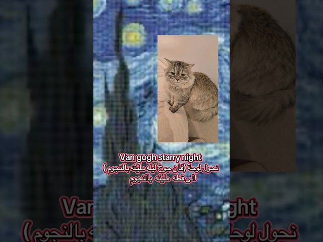 طقم باكج لحيوانك المفضل كوب وميداليه