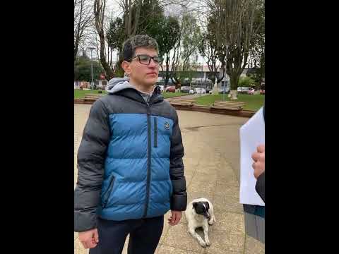 Preguntas y Respuestas BEP fecha II Victoria | DRABZZ |