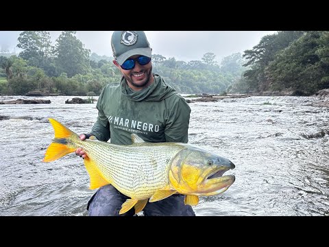 SÓ TEM DOURADO GIGANTE NO RIO IGUAÇU | EPISÓDIO 13 | PESCARIA