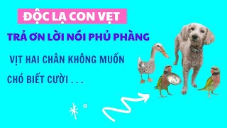 504🦜The duck understands human language, the dog has a charming smile, the pink chest speaks very...