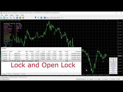 Video SemiAuto Martin System