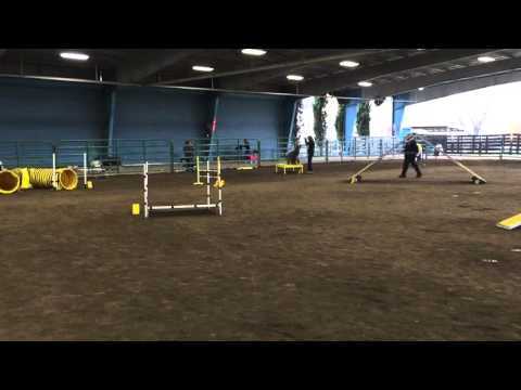 Zea Di Valle Scrivia Agility