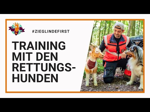 Sommertour: Training mit der BRH-Rettungshunde-Staffel 