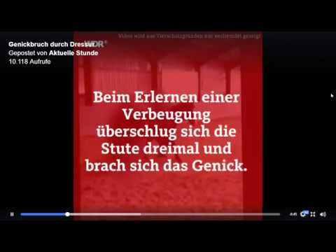 Strafbefehl gegen Pfister: Deswegen wiederholen wir alle Videos zum toten Pferd in Leichlingen