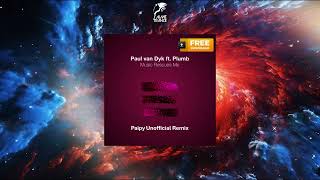 Paul van Dyk Feat. Plumb - Music Rescues Me (Paipy Energetic Unofficial Remix)