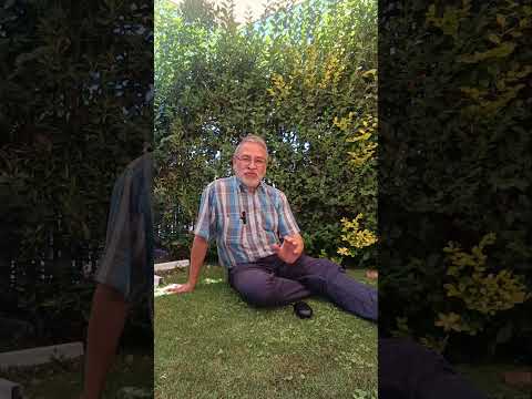 Claudio Pedro Cornejo Torres-16