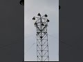 Discover Austin: Austin's Iconic Moonlight Towers 🌃 | Things to do in Austin, TX