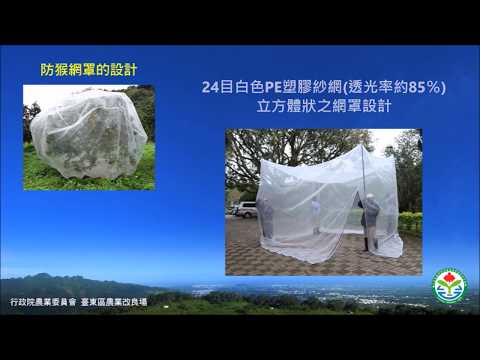 友善生態之果樹猴害防範技術 (上集)