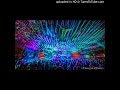 the disco biscuits - 04.20.06 - vassillios~basis for a day~step inside~spaga