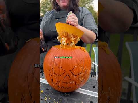My Top pumpkin carving tips and tricks to get you...