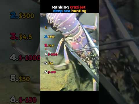 ranking craziest deep sea hunting