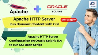 How to run Dynamic Content with CGI Script on Apache Server | Oracle Solaris 11