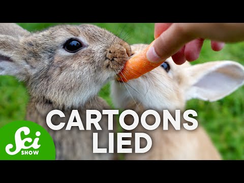 8 Facts About Animals We Got Wrong