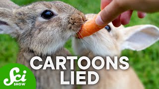 8 Things People Get Wrong About Animals