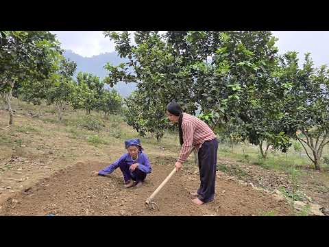 Onvruchtbare vrouw en bejaarde oma vechten voor hun leven – Een hartverscheurend verhaal