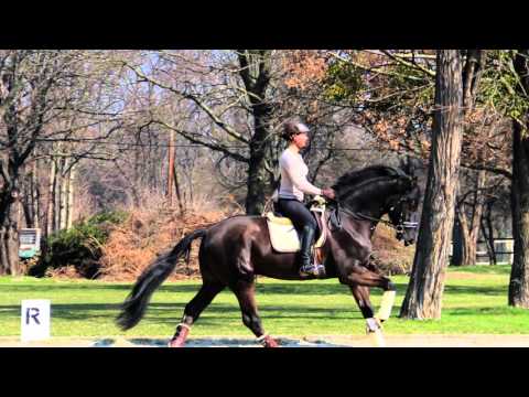 First Selection's Boy 2015