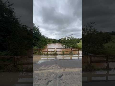 Riachão Santa Maria 🌧️🌧️ Caraibas- ba🙏🏻❤️ #chuva #chuvanosertão #chuvanonordeste