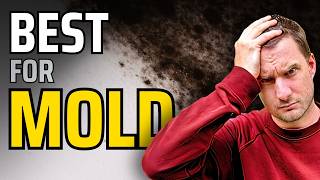 Do Air Purifiers Help With Mold? Yes, BUT…