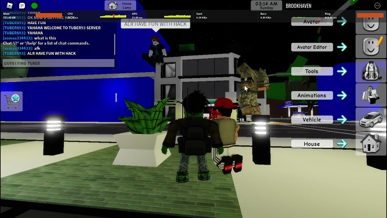 HOLY I MEET TUBERS 93 HACKING BROOKHAVEN