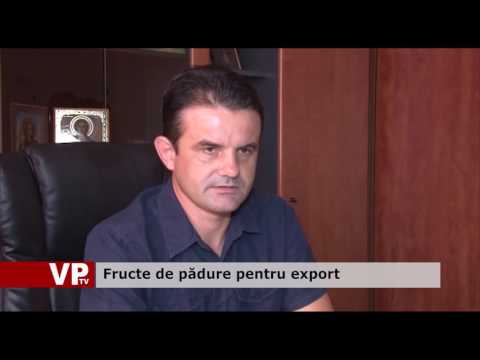 Fructe de pădure pentru export