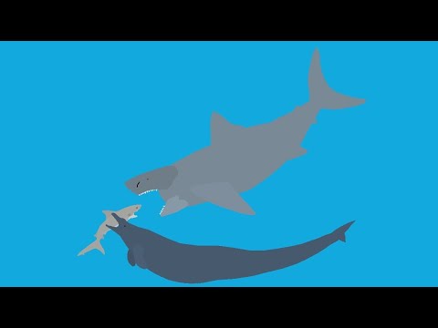 basilosaurus vs megalodon vs bill shark