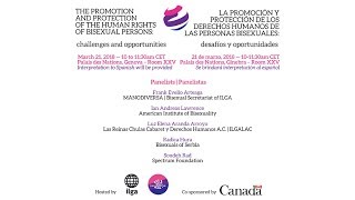The promotion and protection of the human rights of bisexual persons