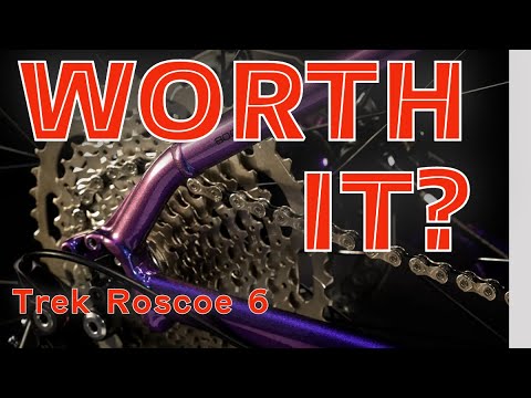 Should you buy a Trek Roscoe 6? Our family has had one for 6 months.