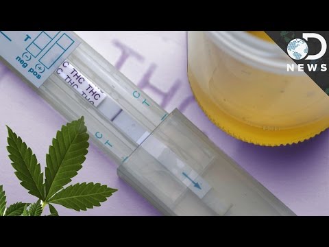 YouTube video about Uncovering the Need for Drug Tests