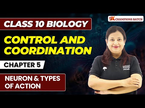 Definite Success Classes Bhopal Video 3