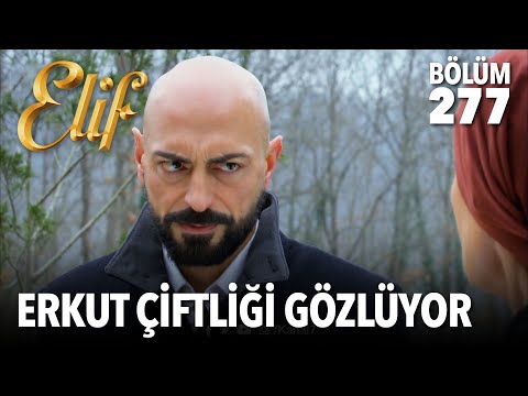 Erkut çiftliğin etrafında! | Elif 277. Bölüm