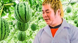 [創作] 辜惑仔4 戰吳不勝