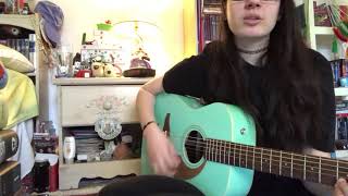 birds // the starting line