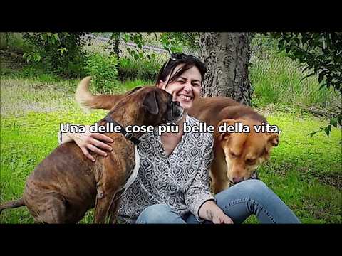 Giunti di ortica Così come la TC del rachide cervicale