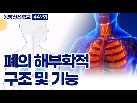 기초(숨) 수행과정