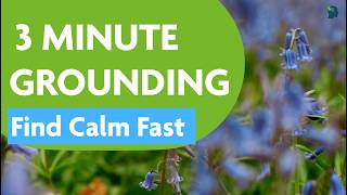 3 Minute GROUNDING Mindfulness Exercise | Quick Stress Relief for Busy Professionals | Thriver
