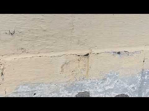 Ants Found All Around the Home in Bradley Beach, NJ