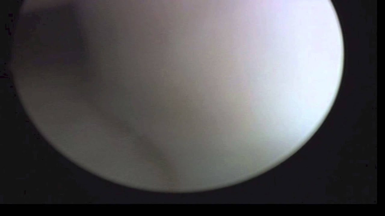 João Bosco Sales Nogueira-11