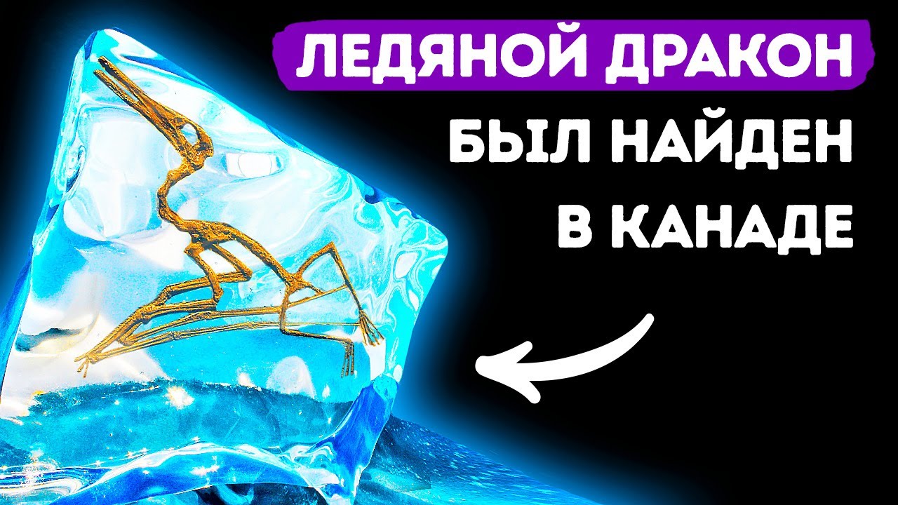 Ледяной дракон был заключен во льдах 76 млн лет