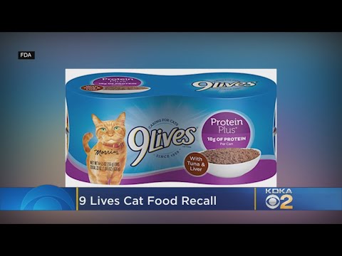 9Lives Cat Food Recalled For Low Levels Of Thiamine