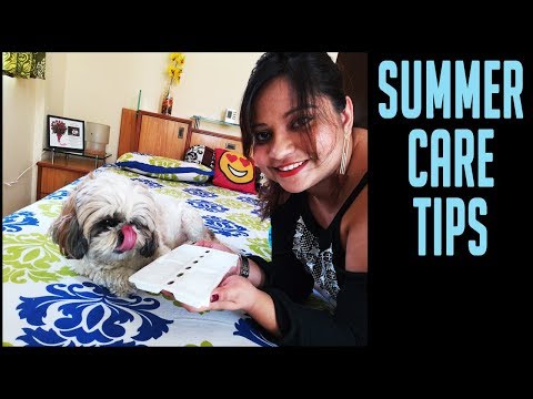 How to Take Care of Your Pets during Summer | How To Keep Your Dog Cool In Summer | Indian Petmom🐹☀ Video